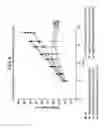 Fig. 09 - Specific binding agents of human angiopoietin-2