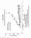 Fig. 12 - Specific binding agents of human angiopoietin-2