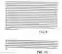 Fig. 08 - Methods for treating inflammation using B7-H4 polypeptides and fragments thereof