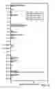 Fig. 11 - Methods for treating inflammation using B7-H4 polypeptides and fragments thereof