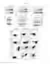 Fig. 07 - CD19-LIGAND AND USE