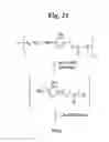 Fig. 23 - MONOMETHYLVALINE COMPOUNDS CAPABLE OF CONJUGATION TO LIGANDS