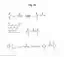 Fig. 30 - MONOMETHYLVALINE COMPOUNDS CAPABLE OF CONJUGATION TO LIGANDS