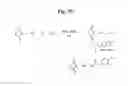 Fig. 31 - MONOMETHYLVALINE COMPOUNDS CAPABLE OF CONJUGATION TO LIGANDS
