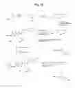 Fig. 37 - MONOMETHYLVALINE COMPOUNDS CAPABLE OF CONJUGATION TO LIGANDS