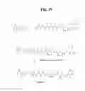 Fig. 41 - MONOMETHYLVALINE COMPOUNDS CAPABLE OF CONJUGATION TO LIGANDS