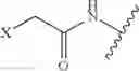 Fig. 44 - MONOMETHYLVALINE COMPOUNDS CAPABLE OF CONJUGATION TO LIGANDS