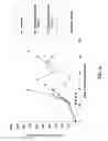 Fig. 04 - MONOMETHYLVALINE COMPOUNDS CAPABLE OF CONJUGATION TO LIGANDS