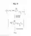 Fig. 23 - MONOMETHYLVALINE COMPOUNDS CAPABLE OF CONJUGATION TO LIGANDS