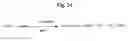 Fig. 26 - MONOMETHYLVALINE COMPOUNDS CAPABLE OF CONJUGATION TO LIGANDS