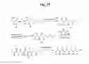 Fig. 27 - MONOMETHYLVALINE COMPOUNDS CAPABLE OF CONJUGATION TO LIGANDS