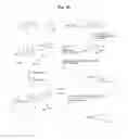 Fig. 37 - MONOMETHYLVALINE COMPOUNDS CAPABLE OF CONJUGATION TO LIGANDS