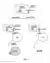 Fig. 02 - USE OF A CHEMICALLY-STABILIZED CHLORITE SOLUTION FOR INHIBITING AN ANTIGEN-SPECIFIC IMMUNE RESPONSE