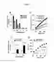 Fig. 04 - Compositions and methods for inducing an immune response