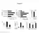 Fig. 08 - Compositions and methods for inducing an immune response