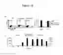 Fig. 14 - Compositions and methods for inducing an immune response