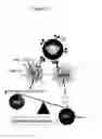 Fig. 15 - Compositions and methods for inducing an immune response