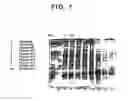 Fig. 02 - RECOMBINANT PROTECTIVE PROTEIN FROM STREPTOCOCCUS PNEUMONIAE