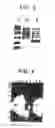 Fig. 03 - RECOMBINANT PROTECTIVE PROTEIN FROM STREPTOCOCCUS PNEUMONIAE