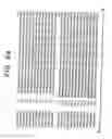 Fig. 06 - RECOMBINANT PROTECTIVE PROTEIN FROM STREPTOCOCCUS PNEUMONIAE