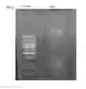 Fig. 04 - UNIVERSAL INFLUENZA VACCINE BASED ON RECOMBINANT MODIFIED VACCINE ANKARA VIRUS (MVA)