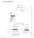 Fig. 08 - UNIVERSAL INFLUENZA VACCINE BASED ON RECOMBINANT MODIFIED VACCINE ANKARA VIRUS (MVA)