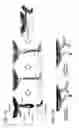 Fig. 03 - Hydrocarbon stapled stabilized alpha-helices of the HIV-1 GP41 membrane proximal external region