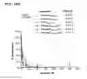 Fig. 30 - Hydrocarbon stapled stabilized alpha-helices of the HIV-1 GP41 membrane proximal external region