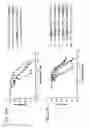 Fig. 46 - Hydrocarbon stapled stabilized alpha-helices of the HIV-1 GP41 membrane proximal external region