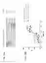 Fig. 48 - Hydrocarbon stapled stabilized alpha-helices of the HIV-1 GP41 membrane proximal external region