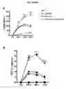 Fig. 06 - Mycobacterial mutants inducing IL-12