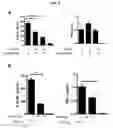 Fig. 10 - Mycobacterial mutants inducing IL-12