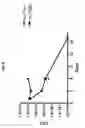 Fig. 14 - Mycobacterial mutants inducing IL-12