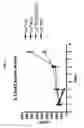 Fig. 16 - Mycobacterial mutants inducing IL-12