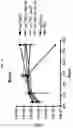 Fig. 20 - Mycobacterial mutants inducing IL-12