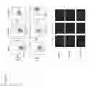 Fig. 04 - Vault compositions for immunization against Chlamydia genital infection