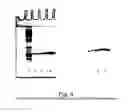 Fig. 04 - Drug delivery system