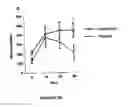 Fig. 07 - Method of using punicic acid to enhance immune response and prevent metabolic disorders
