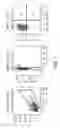 Fig. 02 - OLIGONUCLEOTIDES TARGETING ASTHMA INFLAMMATION PROCESSES