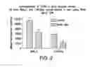 Fig. 06 - OLIGONUCLEOTIDES TARGETING ASTHMA INFLAMMATION PROCESSES