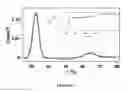 Fig. 05 - System and method for delivery of DNA-binding chemotherapy drugs using nanoparticles