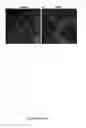 Fig. 15 - Ultrasound technology to control the spatial organization of cells and proteins in engineered tissues