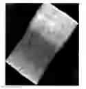 Fig. 01 - BIOCOMPATIBLE POLYMER FIBRES FOR NEUROIMPLANTS