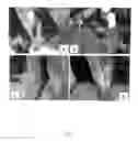 Fig. 07 - BIO-MEMBRANE FOR TISSUE REGENERATION