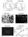 Fig. 22 - CELL COATED IMPLANTABLE DEVICE