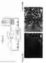 Fig. 28 - CELL COATED IMPLANTABLE DEVICE