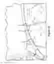 Fig. 32 - CELL COATED IMPLANTABLE DEVICE