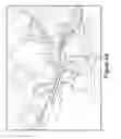 Fig. 34 - CELL COATED IMPLANTABLE DEVICE