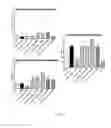 Fig. 03 - Immunomodulatory compositions comprising a polymer matrix and an oil phase