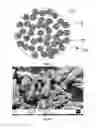 Fig. 03 - PARTICLES FOR DRUG DELIVERY AND OTHER APPLICATIONS